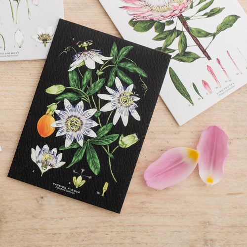 Botanical 'Passion Flower - Black' Species Card