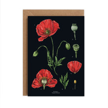 Load image into Gallery viewer, Botanical &#39;Poppy&#39; Species Card