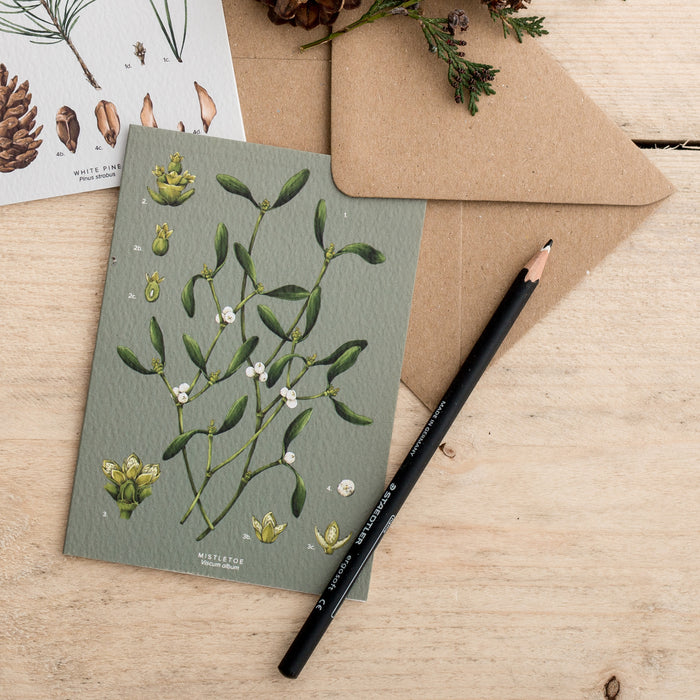 Mistletoe Species - Christmas Card